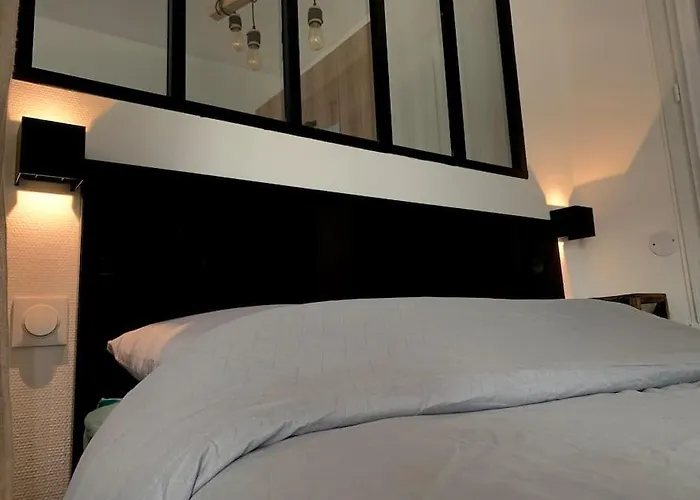 T1 Bis Cosy Et Spacieux - Wifi - Parking Gratuit Angers